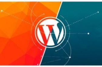 WordPress Website Development