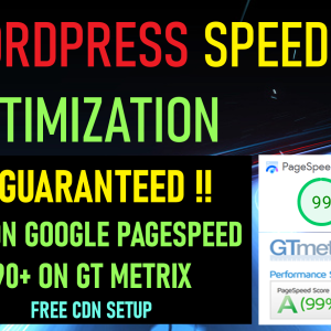 Speed Up WordPress website